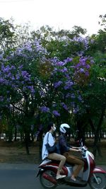Rear view of people riding motorcycle on purple flowering plants