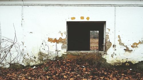 Closed door of old building