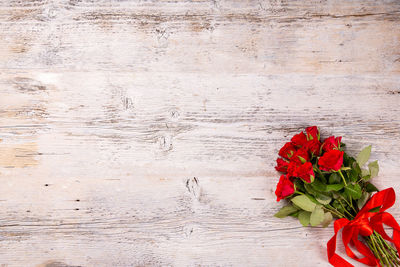 Close-up of red flowers