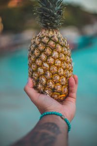 Cropped hand holding pineapple