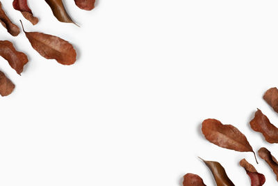 High angle view of cake against white background