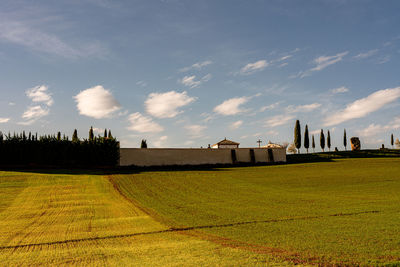 Scenic view of field against sky