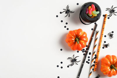 High angle view of orange fruit against white background