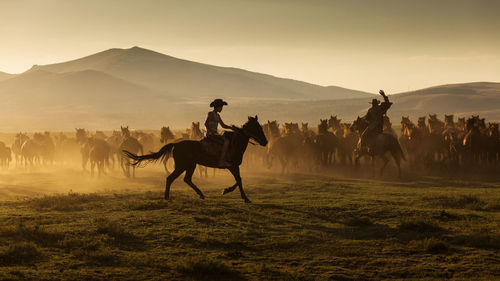 People riding horse on field against sky