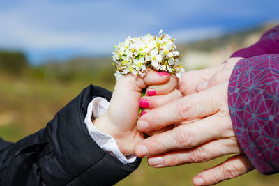 Cropped hands of mother and daughter holding flowers against sky