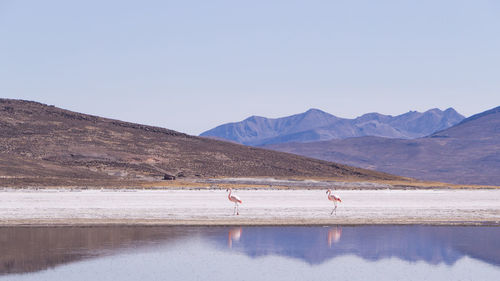 Scenic view of lake against mountain range