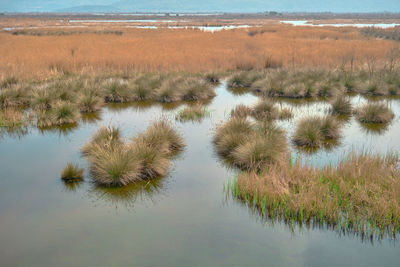 Scenic view of land against sky