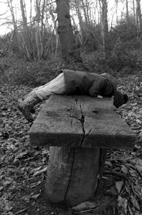 Man sleeping on log in forest