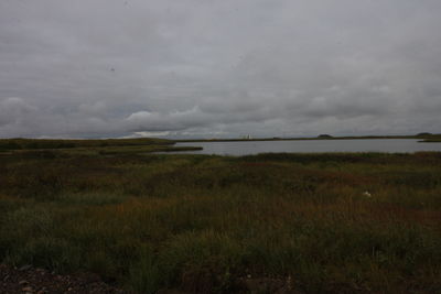 Scenic view of field against sky