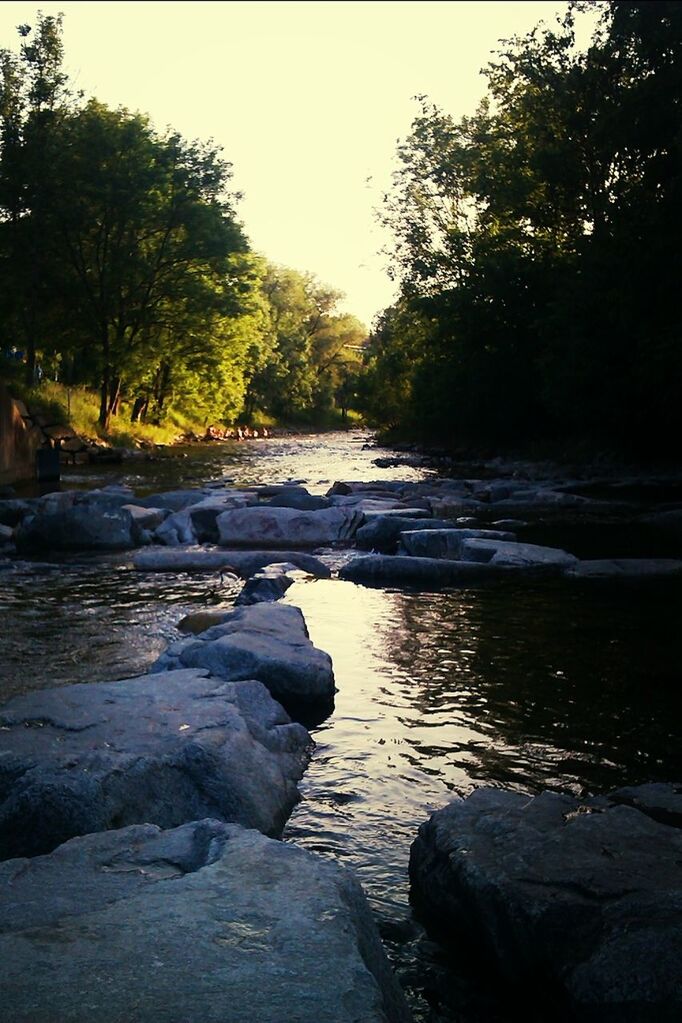 water, tree, river, tranquility, forest, tranquil scene, rock - object, stream, nature, beauty in nature, scenics, flowing water, reflection, flowing, lake, growth, riverbank, stone - object, outdoors, non-urban scene