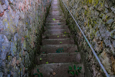 High angle view of steps amidst trees