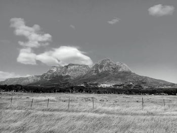 Scenic view of field against sky