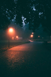 Scenic view of a park alley with benches and street lights during foggy morning