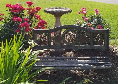 Flower pot plants in garden