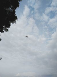 Low angle view of airplane flying in sky