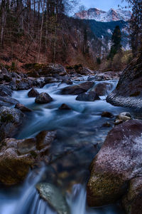River flowing through rocks in forest