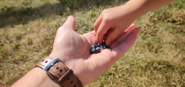 Close-up of hand holding cigarette on field