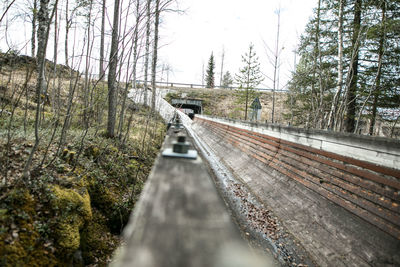 Railroad tracks amidst trees against sky