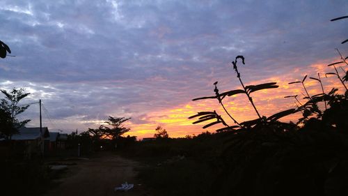 Silhouette trees against dramatic sky during sunset