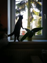 Horse statue on window sill at home