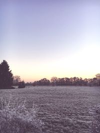 Scenic view of landscape against clear sky during winter