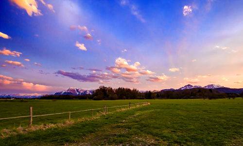 Scenic view of agricultural field against cloudy sky