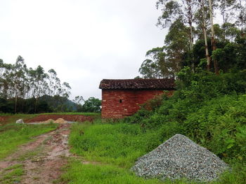 View of grass against clear sky