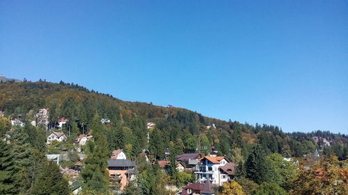 Houses and trees against clear blue sky