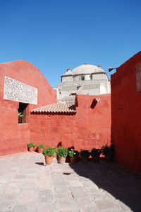 Potted plants against red wall at santa catalina monastery