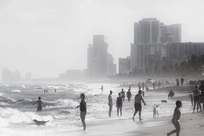 Rear view of people at beach