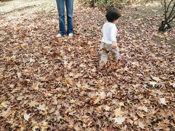 Low section of mother with daughter walking on fallen dry leaves during autumn