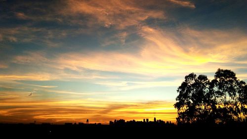 Silhouette trees against sky during sunset