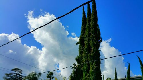 Low angle view of power lines against blue sky