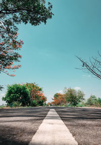 Road by trees against clear sky