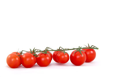 Close-up of tomatoes against white background