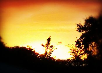 Silhouette trees against sky during sunset