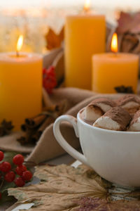 Celebrating autumn holidays at cozy home with cup hot chocolate marshmallows cacao on the windowsill 