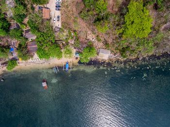 High angle view of trees by sea