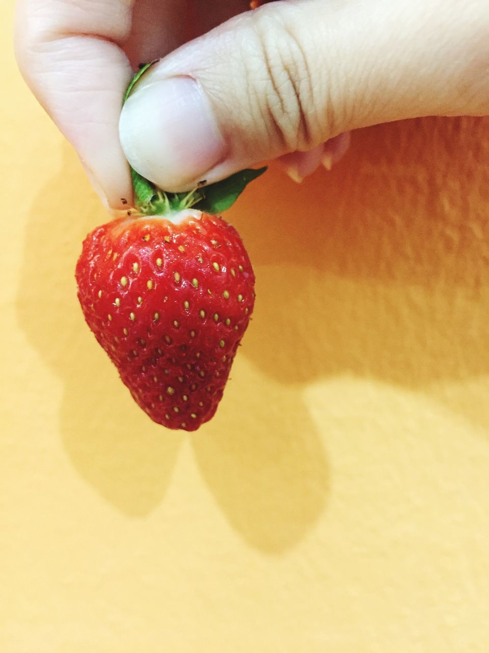 CLOSE-UP OF HAND HOLDING RED FRUIT