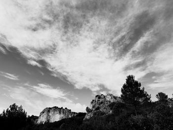 Low angle view of trees against sky