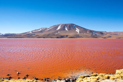 Scenic view of desert against clear blue sky