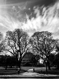 Bare trees by building against sky