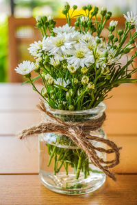 Close-up of plant on table