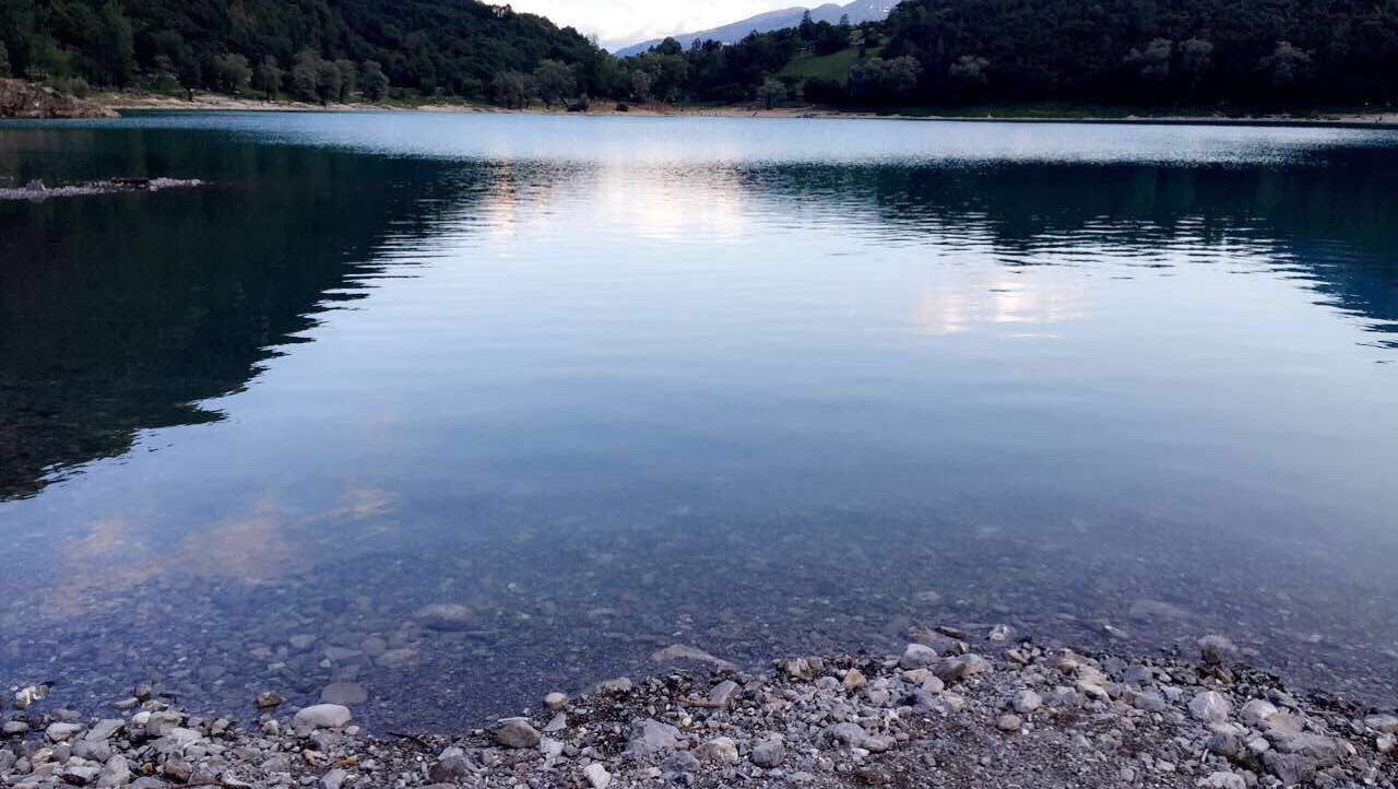 REFLECTION OF TREES ON LAKE