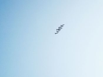 Low angle view of birds flying against clear sky