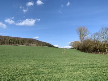 Scenic view of field against sky in eichsfeld, thuringia, germany