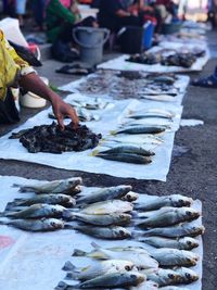 View of fish for sale at market stall