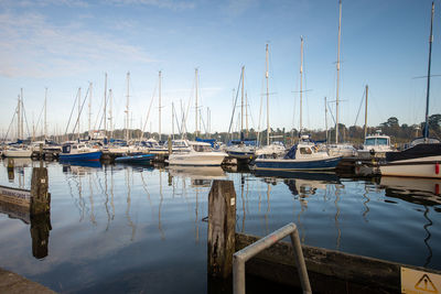 Sailboats moored at harbor