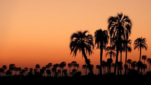 Silhouette palm trees against sky during sunset