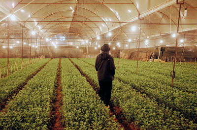 Rear view of man working in farm